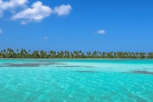 Punta Cana: Wycieczka na wyspę Saona, posiłek na katamaranie i otwarty bar