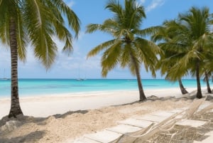 Punta Cana: Wycieczka na wyspę Saona, posiłek na katamaranie i otwarty bar