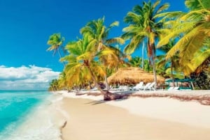 Punta Cana: Tour à Ilha Saona, comida em catamarã e bar aberto