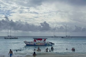 'Explora la Experiencia: Tours de Punta Cana a Isla Saona'