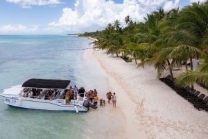 Punta Cana: Saona Island Tour med lunsj og drikke