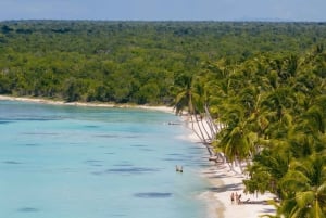 Punta Cana: Saona Island Tour med lunsj og drikke
