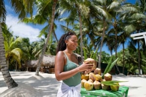 Punta Cana: Saona Island Tour med lunsj og drikke