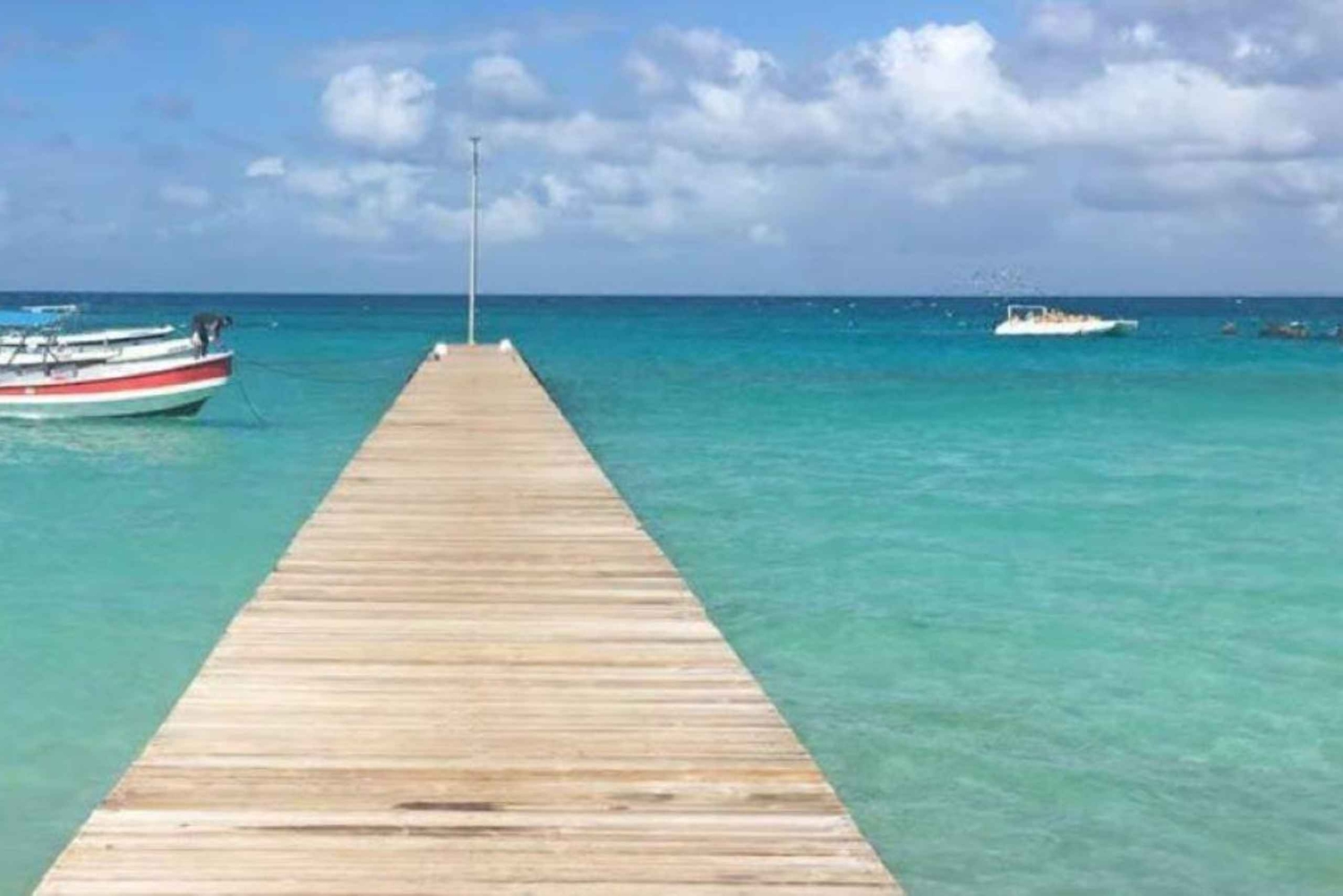 Punta Cana: Saona Island VIP Catamaran Tour with Lunch