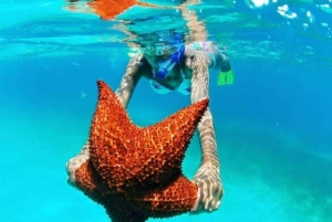 Punta Cana: Saona Island VIP Catamaran Tour with Lunch