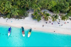 Punta Cana: Saona Island VIP Catamaran Tour with Lunch