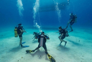 Punta Cana : Plongée sous-marine Croisière sur l'île de Catalina avec déjeuner