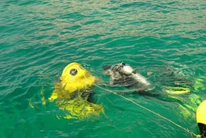 Punta Cana: Avventura subacquea con transfer di andata e ritorno