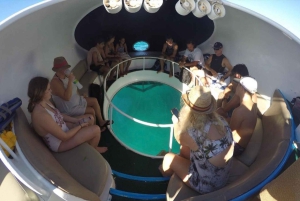 Punta Cana Scuba Doo: Entdecke das Meeresleben auf spielerische Art