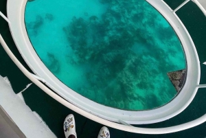 Punta Cana Scuba Doo: Entdecke das Meeresleben auf spielerische Art