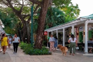 Punta Cana: Shoppingtur med smagsprøver og afhentning