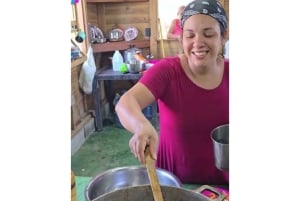 Punta Cana: small group panorámic tour with lunch