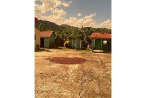 Punta Cana: small group panorámic tour with lunch