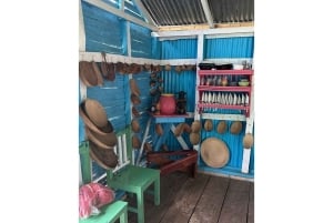 Punta Cana: small group panorámic tour with lunch