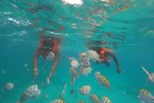 Punta Cana: Speedboat and Snorkeling Adventure