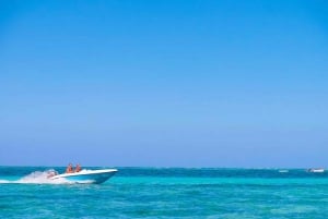 Punta Cana: Speedboat- und Schnorcheltour mit Abholung vom Hotel