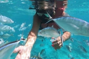 Punta Cana: tour in motoscafo e snorkeling