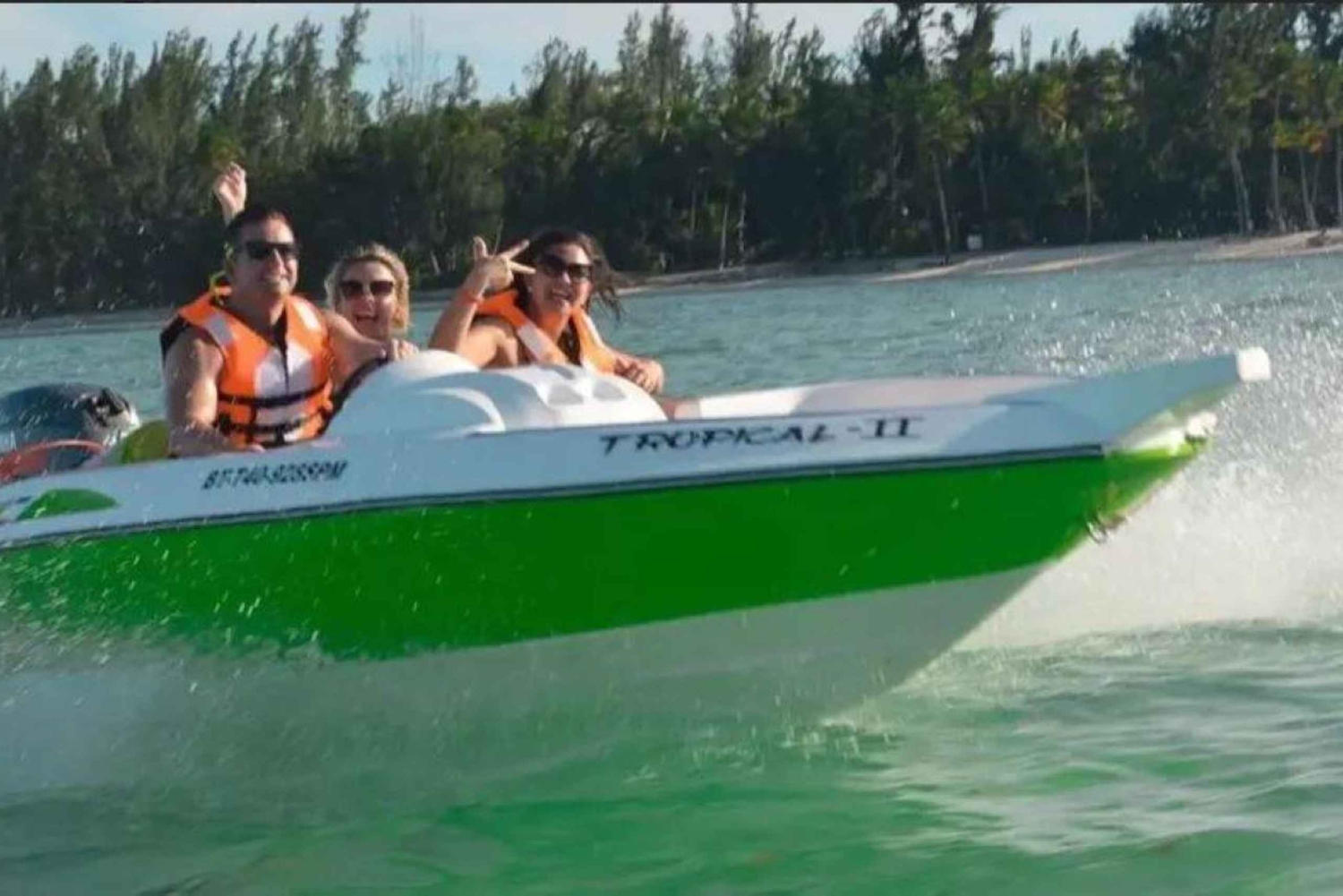 Punta Cana: Speedboat Ride, Snorkeling, & Dolphin Watching