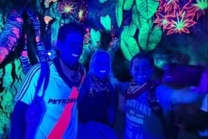 Punta Cana: Sunset Buggy Adventure Ride and Carnival Show