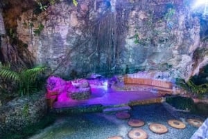 Punta Cana: Sunset Buggy Adventure Ride and Carnival Show