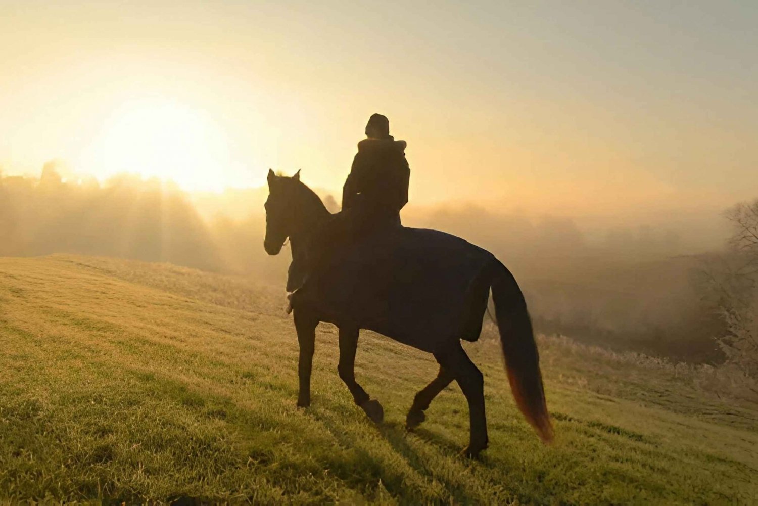 Punta Cana: Sunset Horseback Ride in Macao Beach and Forest