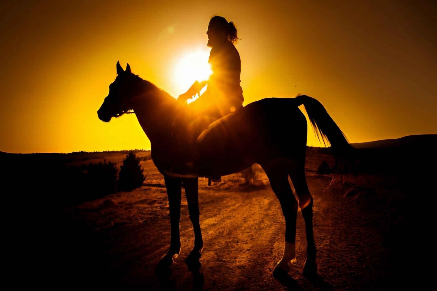 プンタ カナ: マカオのビーチと森での夕暮れの乗馬