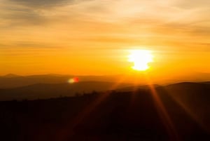 Punta Cana: Ausritt bei Sonnenuntergang am Strand und im Wald von Macao