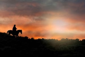 Punta Cana: Cana Cana: Auringonlaskun ratsastus Macaon rannalla ja metsässä