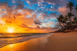 Punta Cana: Ausritt bei Sonnenuntergang am Strand und im Wald von Macao