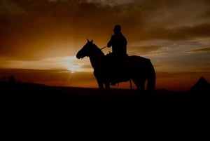 Punta Cana: Cana Cana: Auringonlaskun ratsastus Macaon rannalla ja metsässä