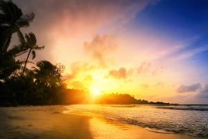 Punta Cana: Cavalcata al tramonto nella spiaggia e nella foresta di Macao