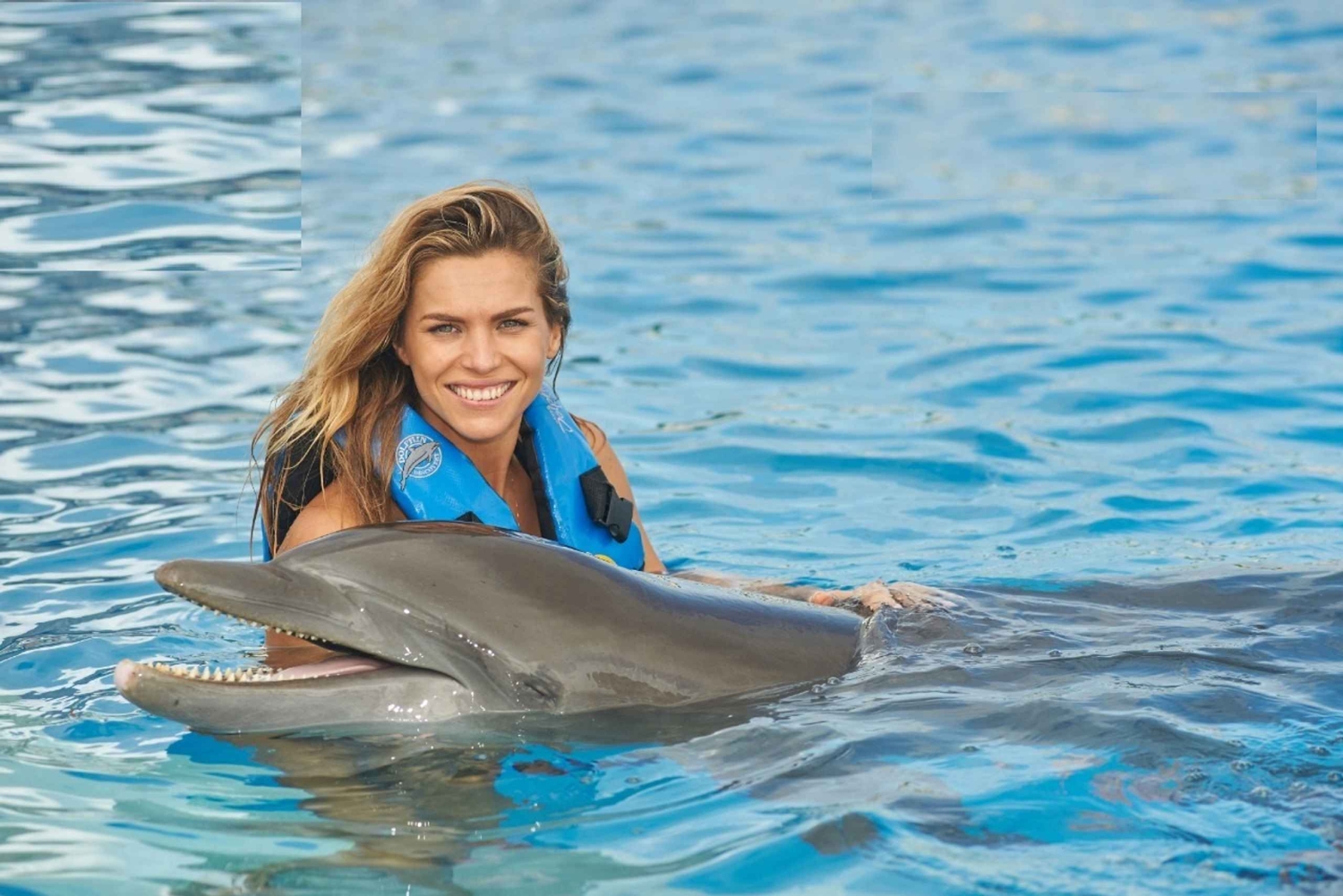 Punta Cana: Swim or Interact with Dolphins in the Sea