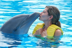 Punta Cana: Swim or Interact with Dolphins in the Sea