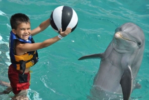 Punta Cana: Swim or Interact with Dolphins in the Sea