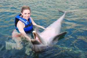 Punta Cana: Swim or Interact with Dolphins in the Sea