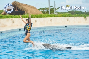Punta Cana: Swim or Interact with Dolphins in the Sea