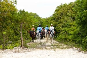 Punta Cana: Swim with Horses Guided Horseback Tour