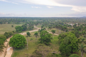 Punta Cana: Spennende offroad-buggy-eventyr