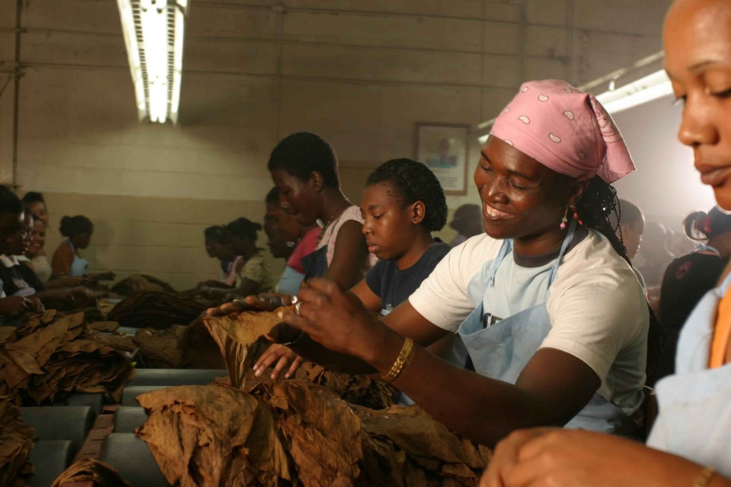 Découverte de la fabrique de tabac et de la bière artisanale à Punta Cana