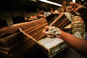 Experiência na Fábrica de Tabaco de Punta Cana e Descoberta da Cerveja Artesanal