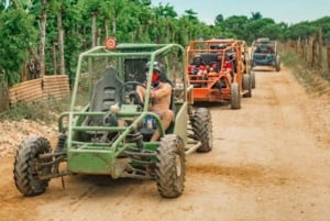 Punta Cana: Półdniowa wycieczka Monkey Land Punta Cana Safari