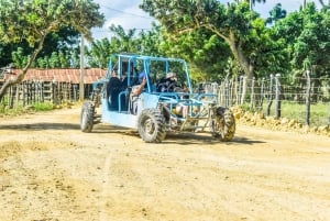 Turistpakke i Punta Cana med buggy og Saona med transport inkluderet