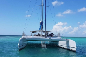 Punta Cana Tourist Package with Buggy and Saona, Transportation Included