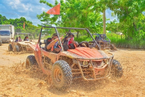 Punta Cana Tourist Package with Buggy and Saona, Transportation Included