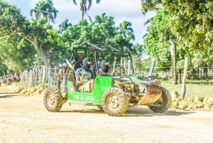 Punta Cana Tourist Package with Buggy and Saona, Transportation Included