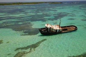 Punta Cana : Croisière sur l'île de la Tortue avec plongée en apnée et déjeuner