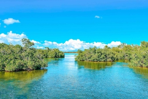 Punta Cana : Croisière sur l'île de la Tortue avec plongée en apnée et déjeuner