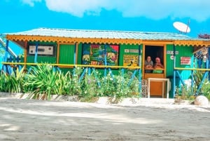 Punta Cana : Croisière sur l'île de la Tortue avec plongée en apnée et déjeuner