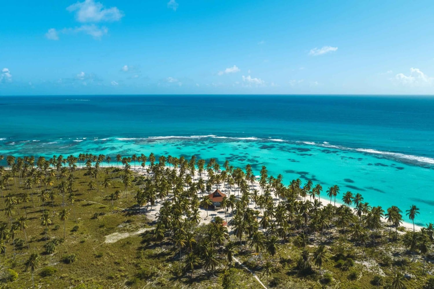 Punta Cana: VIP Private Speedboat Escape to Saona Island