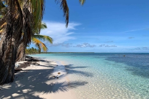Punta Cana: VIP Private Speedboat Escape to Saona Island